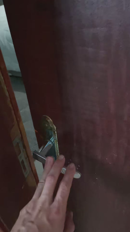 Home high-definition projector